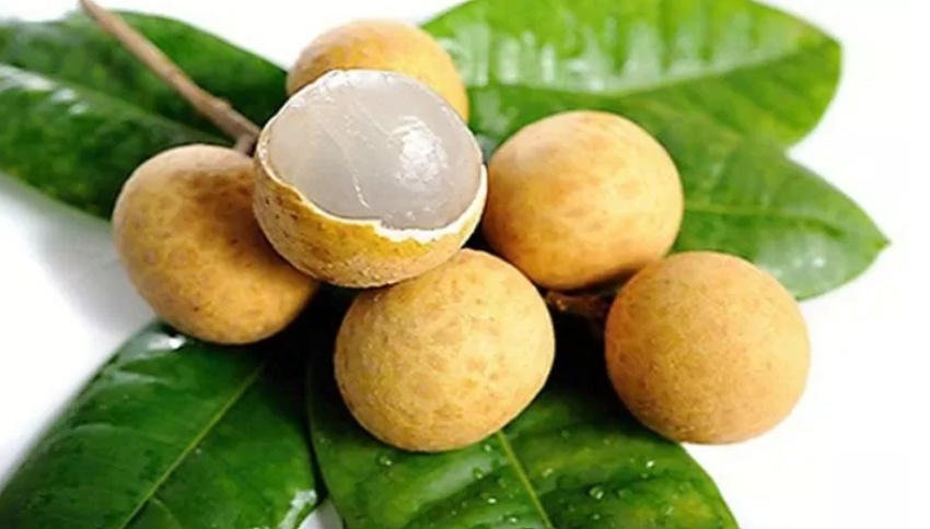 Lợi ích của quả nhãn với sức khỏe và những người không nên dùng Lợi ích của quả nhãn với sức khỏe và những người không nên dùng