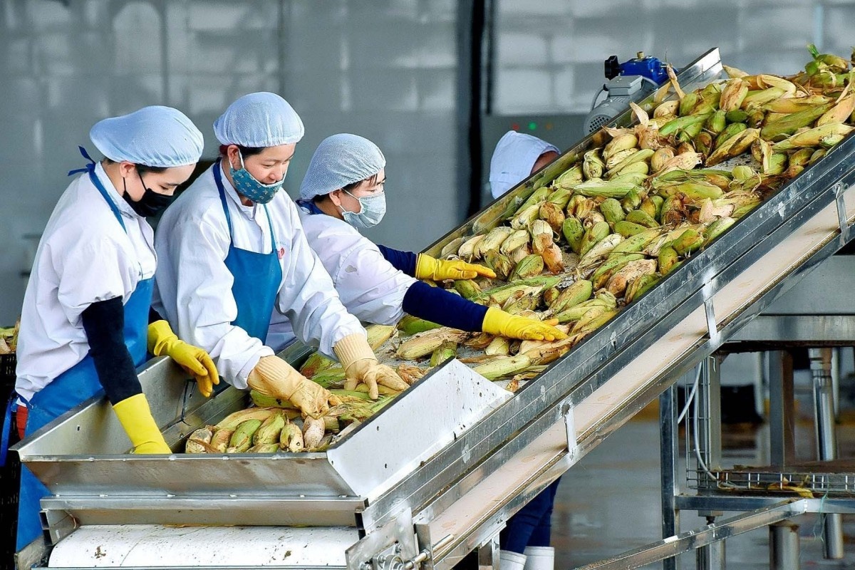 Đẩy mạnh xuất khẩu nông sản sang EU Đẩy mạnh xuất khẩu nông sản sang EU
