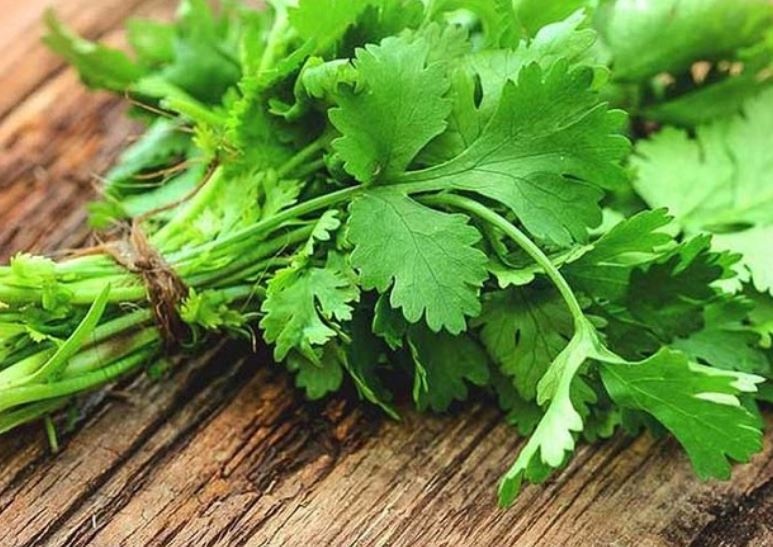 Rau mùi với 8 lợi ích sức khỏe, 5 tác hại và những lưu ý khi sử dụng Rau mùi với 8 lợi ích sức khỏe, 5 tác hại và những lưu ý khi sử dụng