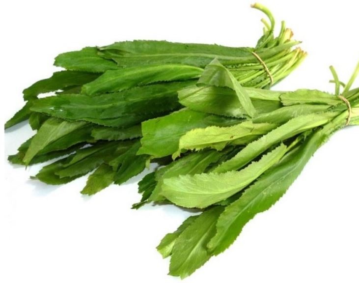 Rau mùi với 8 lợi ích sức khỏe, 5 tác hại và những lưu ý khi sử dụng Rau mùi với 8 lợi ích sức khỏe, 5 tác hại và những lưu ý khi sử dụng