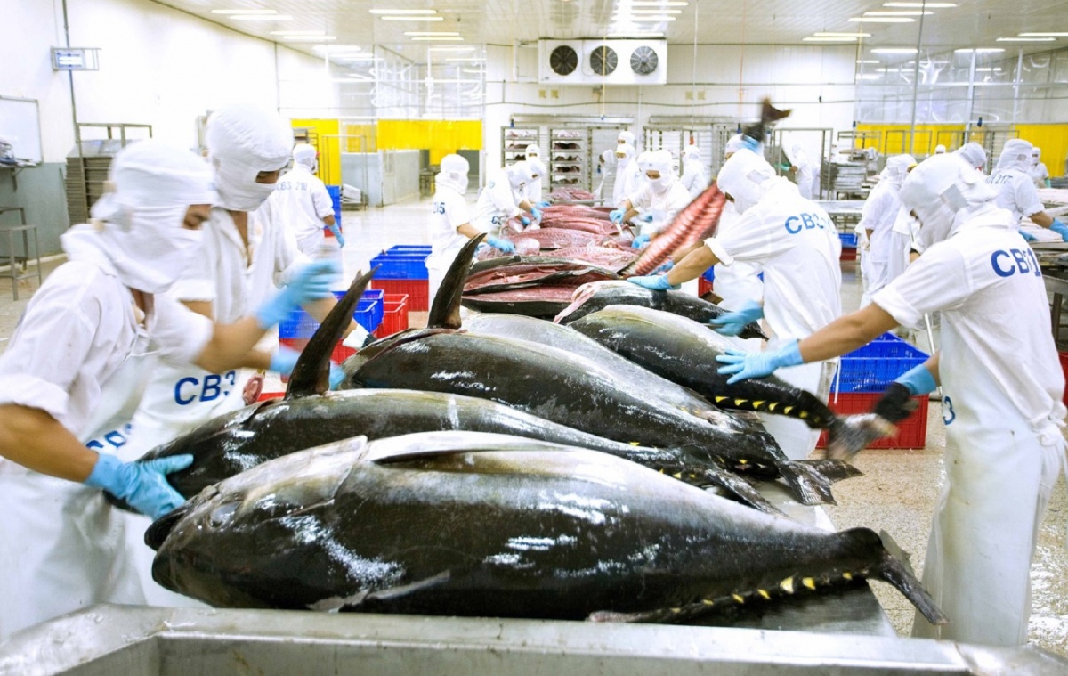 Doanh nghiệp thủy sản gặp khó từ quy định mới của Mỹ Doanh nghiệp thủy sản gặp khó từ quy định mới của Mỹ