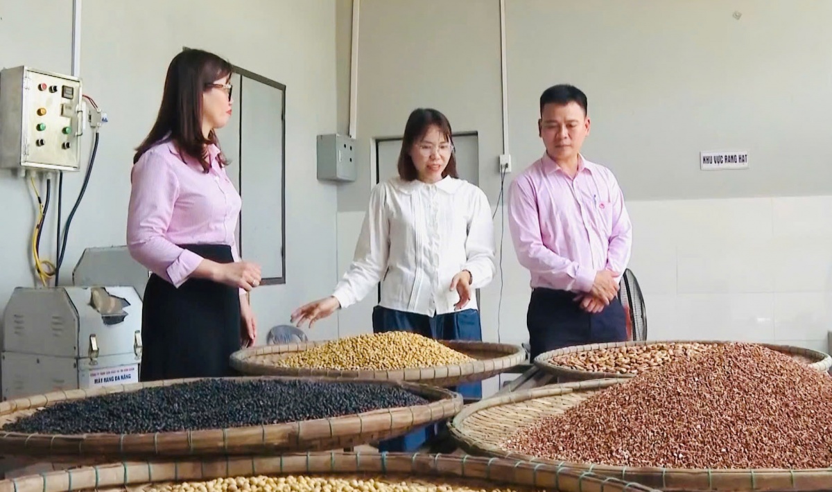 Các cấp hội phụ nữ ở Đà Nẵng đã và đang đóng vai trò “cầu nối” gần gũi, giúp nhiều chị em có cơ hội tiếp cận nguồn vốn ưu đãi. Các cấp hội phụ nữ ở Đà Nẵng đã và đang đóng vai trò “cầu nối” gần gũi, giúp nhiều chị em có cơ hội tiếp cận nguồn vốn ưu đãi.