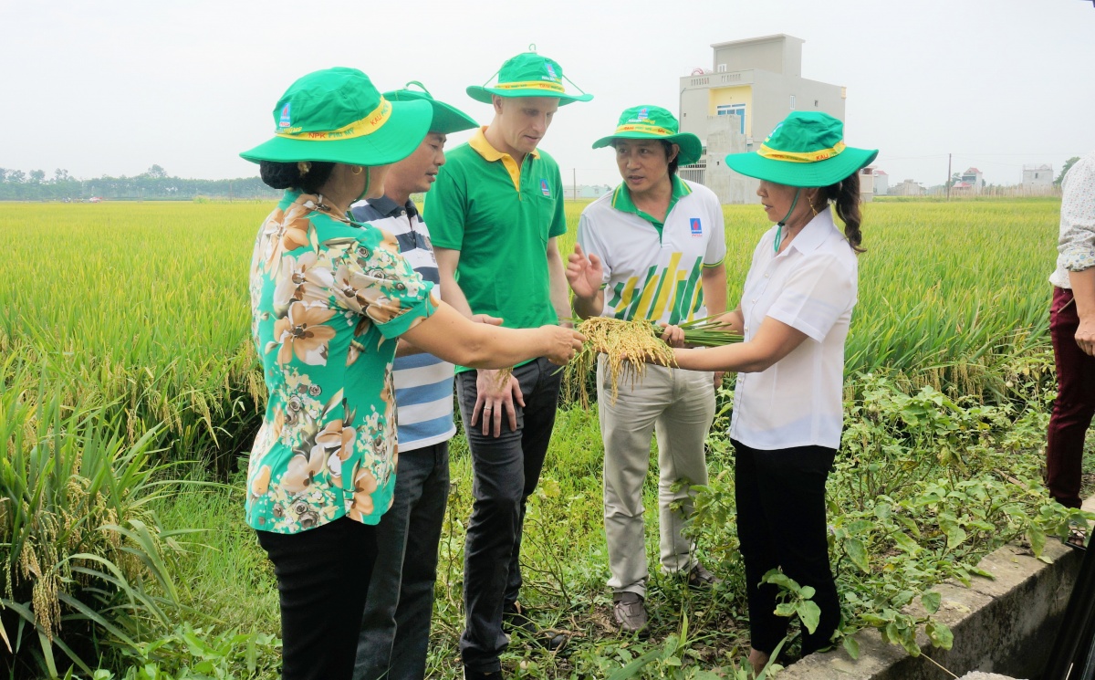 Việt Nam chủ động giải pháp thúc đẩy sản xuất, xuất khẩu gạo và ổn định thị trường Việt Nam chủ động giải pháp thúc đẩy sản xuất, xuất khẩu gạo và ổn định thị trường