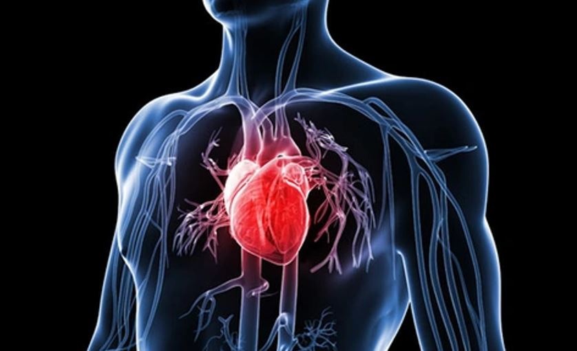 Vi khuẩn truyền nhiễm liên quan đến miệng có thể góp phần gây ra các cơn đau tim Vi khuẩn truyền nhiễm liên quan đến miệng có thể góp phần gây ra các cơn đau tim