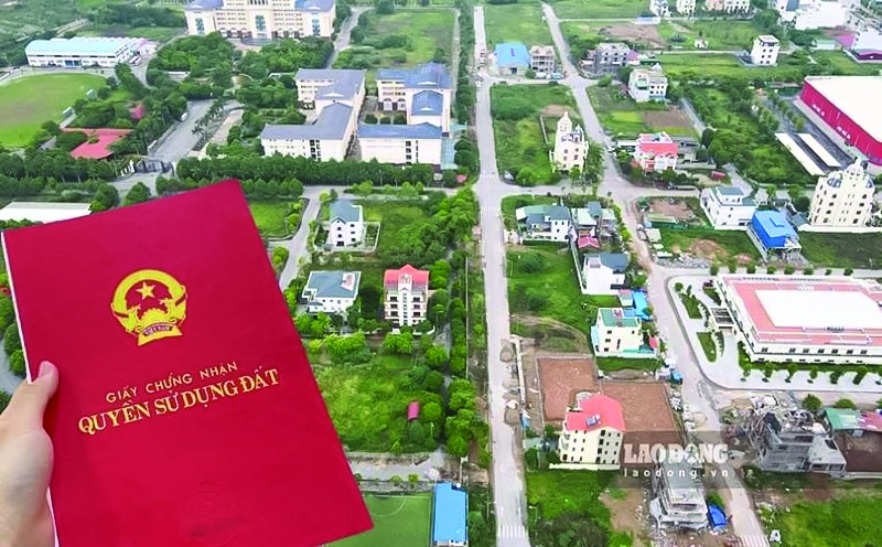 undefined Ảnh minh họa