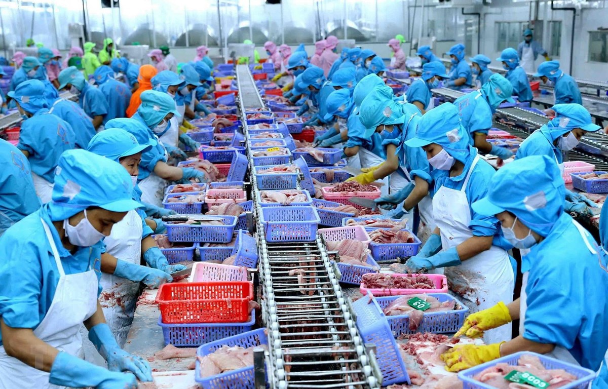 Hàng Việt rộng cửa vào EU nhờ Hiệp định Thương mại tự do Hàng Việt rộng cửa vào EU nhờ Hiệp định Thương mại tự do