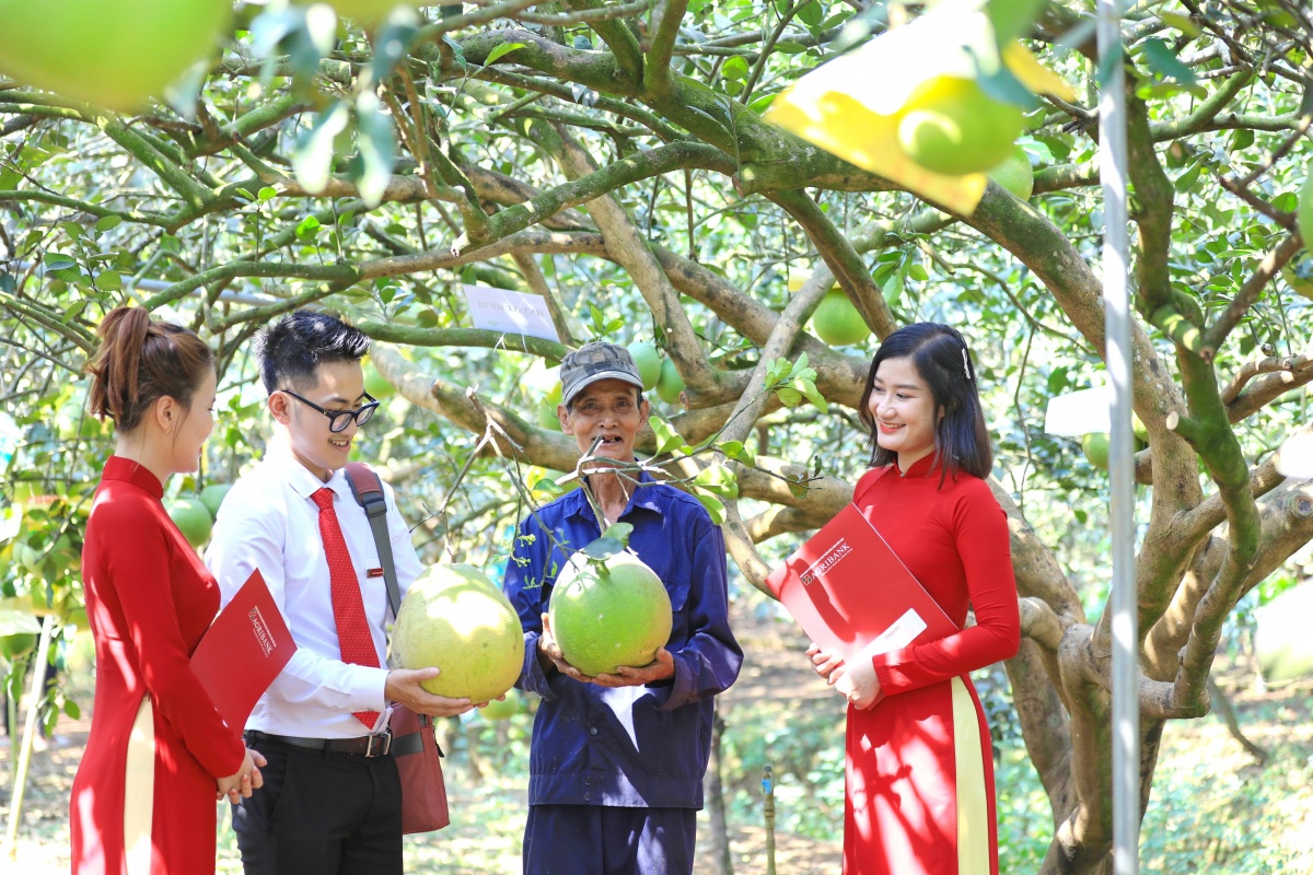 Agribank đẩy mạnh phát triển bền vững qua các gói tín dụng xanh ưu đãi Agribank đẩy mạnh phát triển bền vững qua các gói tín dụng xanh ưu đãi