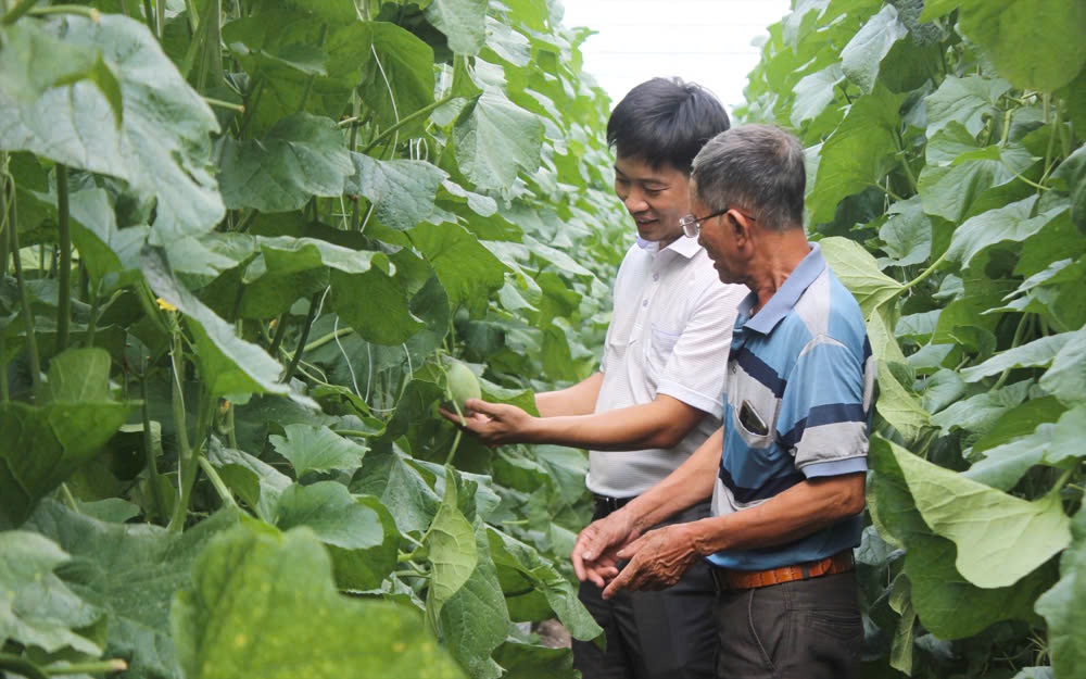 TP. Hồ Chí Minh: Hỗ trợ doanh nghiệp áp dụng sản xuất, dịch vụ thông minh