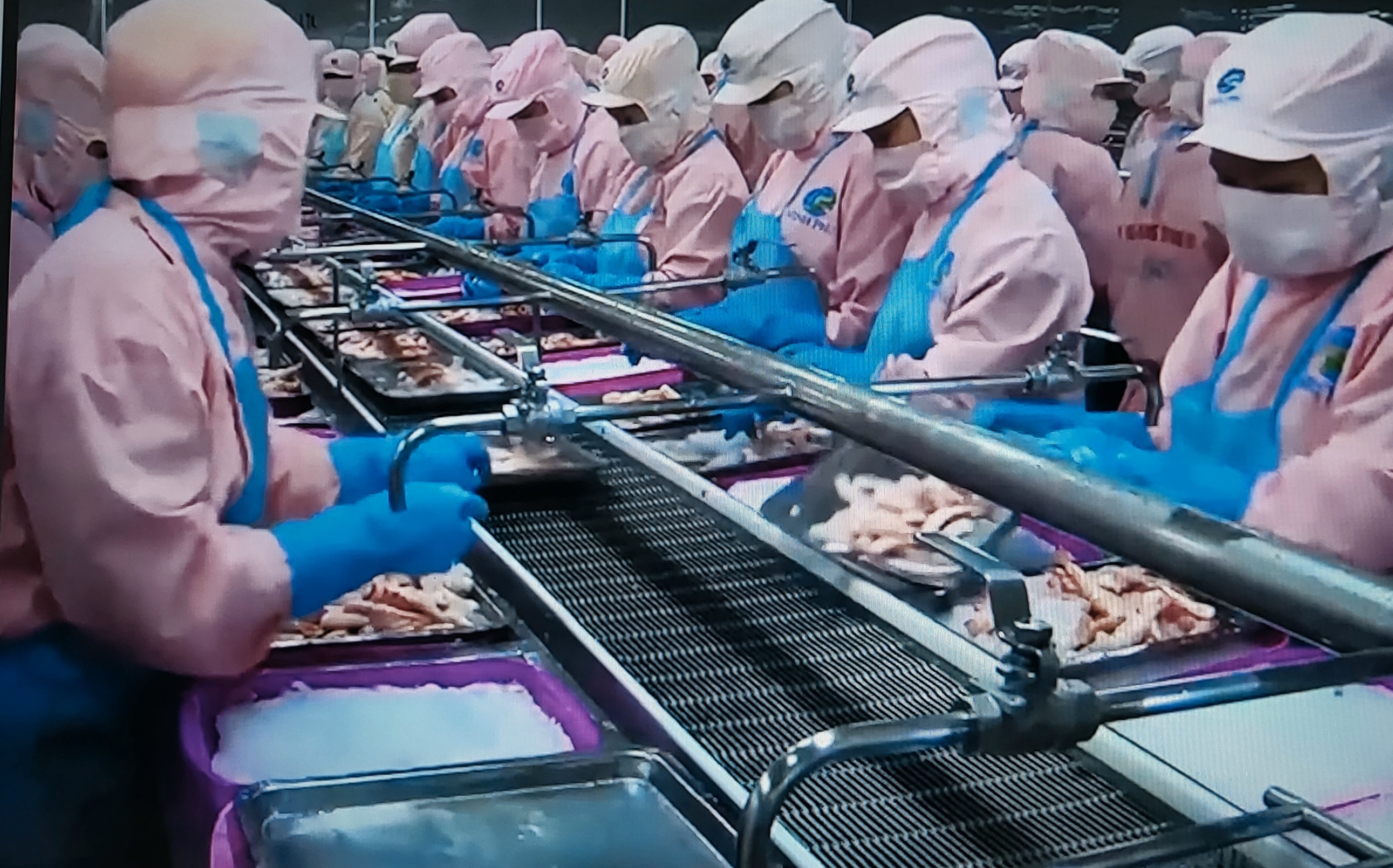 thị trường EU hiện chiếm khoảng 20% tổng kim ngạch xuất khẩu tôm của Việt Nam