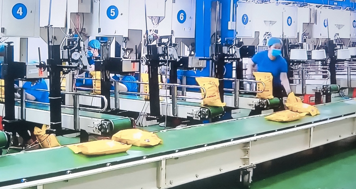 Doanh nghiệp ngành gạo hướng đến đa dạng hóa thị trường và nâng cao chất lượng sản phẩm 