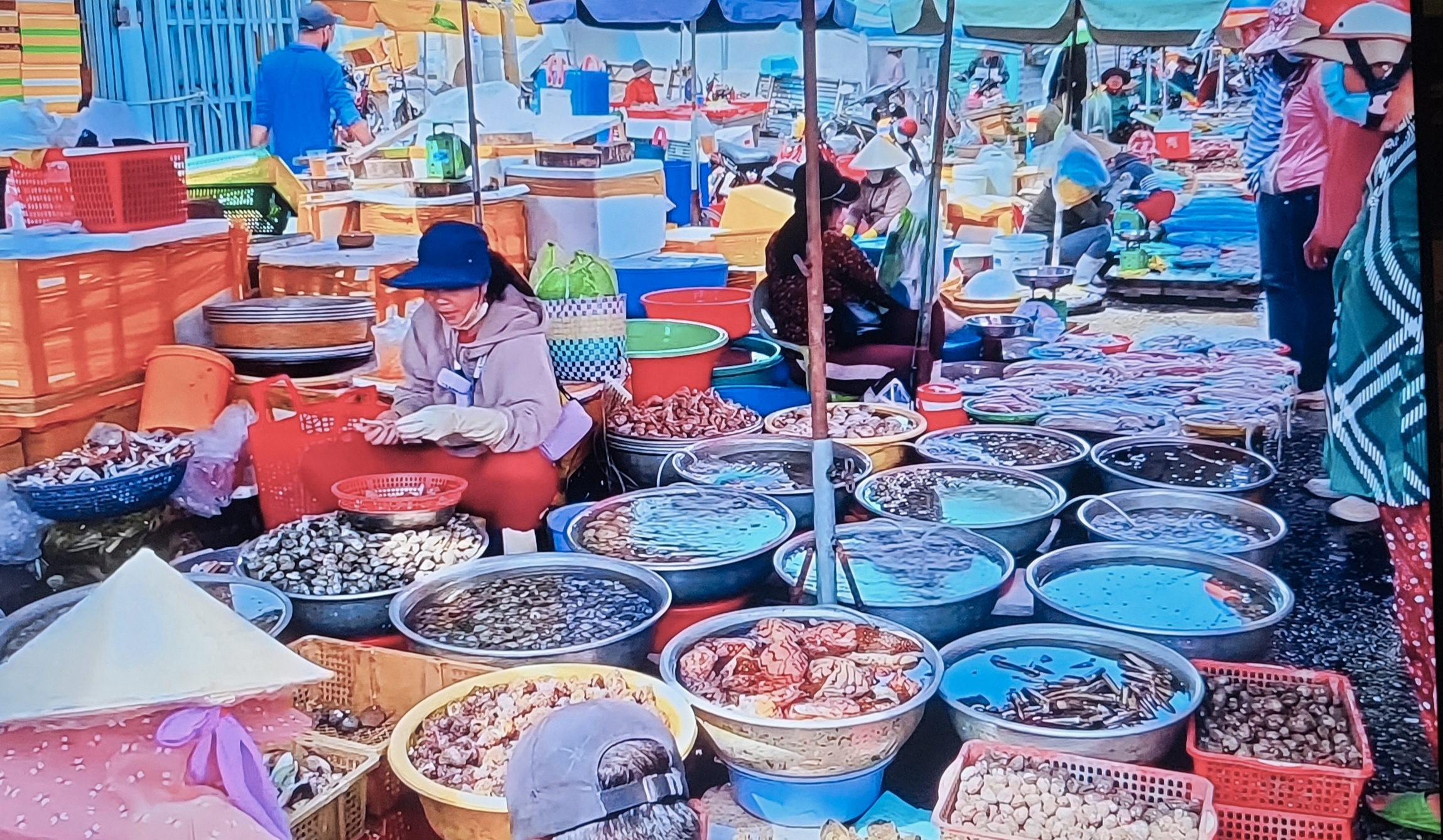 tỷ trọng tiêu thụ nội địa của ngành hiện chỉ chiếm khoảng 10% tổng sản lượng tỷ trọng tiêu thụ nội địa của ngành hiện chỉ chiếm khoảng 10% tổng sản lượng