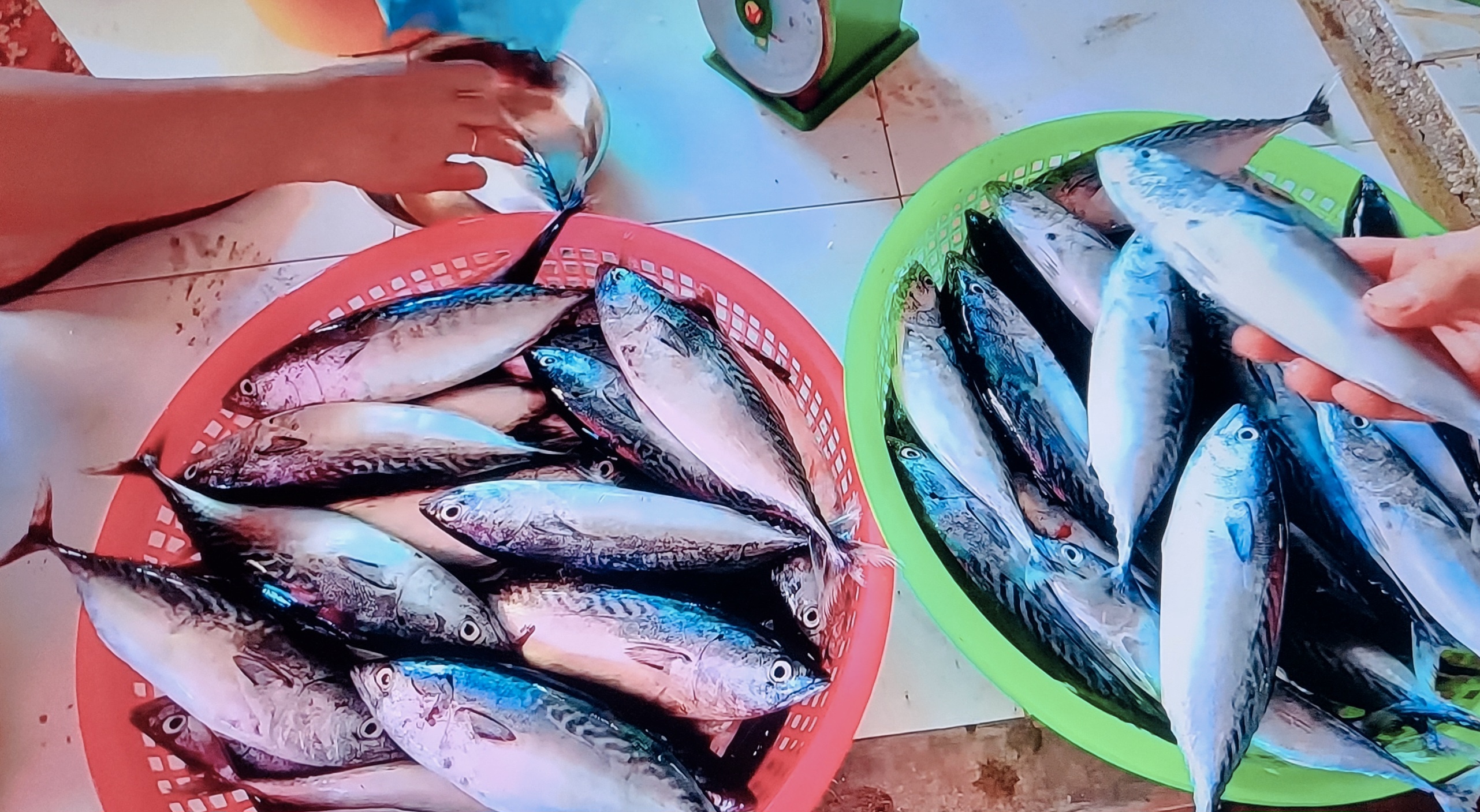Người dân chủ yếu vẫn lựa chọn các mặt hàng tươi sống Người dân chủ yếu vẫn lựa chọn các mặt hàng tươi sống