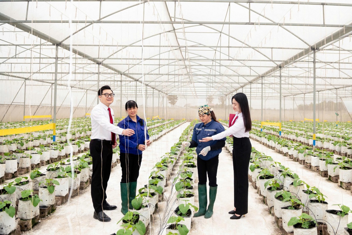 Agribank đẩy mạnh cơ cấu mạng lưới, tạo dư địa phát triển nông nghiệp, nông thôn, nông dân Agribank đẩy mạnh cơ cấu mạng lưới, tạo dư địa phát triển nông nghiệp, nông thôn, nông dân