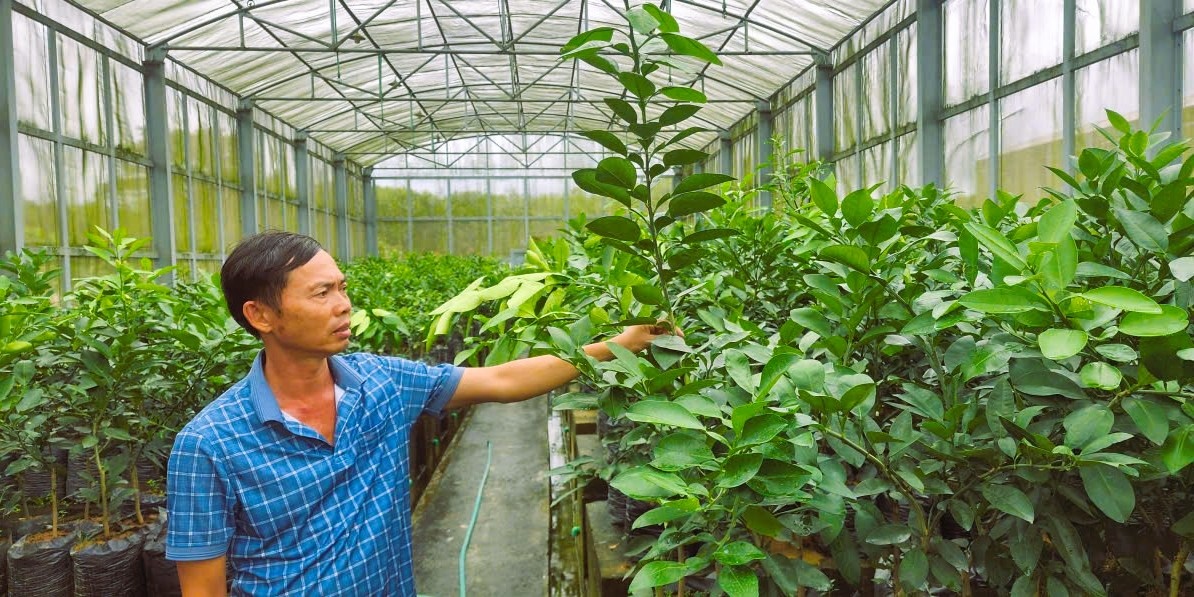 Tín dụng xanh đã và đang hỗ trợ phát triển nông nghiệp sạch, hữu cơ, ứng dụng công nghệ cao ở Hà Tĩnh. Tín dụng xanh đã và đang hỗ trợ phát triển nông nghiệp sạch, hữu cơ, ứng dụng công nghệ cao ở Hà Tĩnh.
