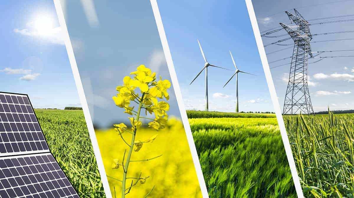 Agribank đồng hành cùng Chính phủ thực hiện mục tiêu tăng trưởng xanh, phát triển bền vững và chuyển đổi sang nền kinh tế không phát thải Agribank đồng hành cùng Chính phủ thực hiện mục tiêu tăng trưởng xanh, phát triển bền vững và chuyển đổi sang nền kinh tế không phát thải