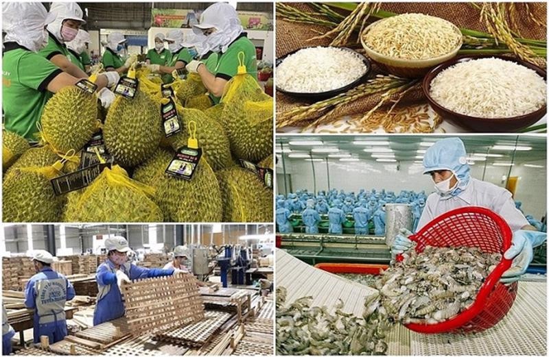 dụng quy định thuế đối với các sản phẩm nông, lâm, thủy sản – những lĩnh vực đóng vai trò chiến lược trong xuất khẩu và an sinh xã hội. dụng quy định thuế đối với các sản phẩm nông, lâm, thủy sản – những lĩnh vực đóng vai trò chiến lược trong xuất khẩu và an sinh xã hội.