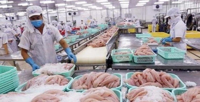 Hiệp hội VASEP cho biết, cùng là sản phẩm nuôi trồng hoặc đánh bắt chưa qua chế biến sâu nhưng doanh nghiệp thuỷ sản phải áp dụng hai mức thuế khác nhau