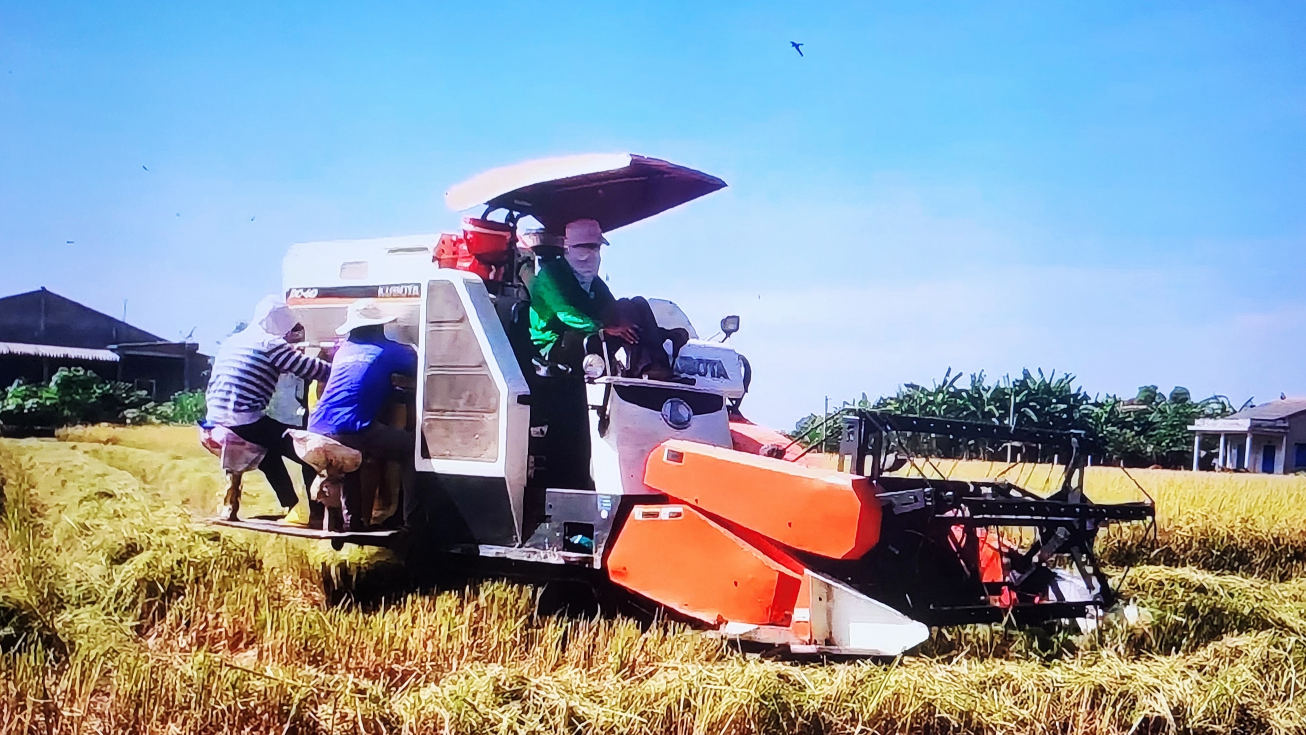 chuyển từ mục tiêu sản lượng sang mục tiêu giá trị chuyển từ mục tiêu sản lượng sang mục tiêu giá trị