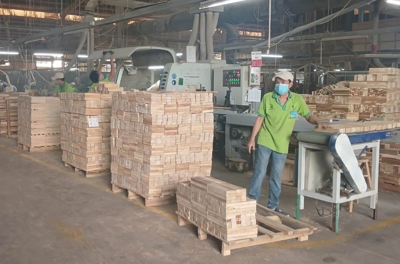 Cần tháo gỡ vướng mắc về thuế, giảm gánh nặng cho doanh nghiệp gỗ
