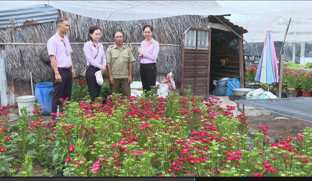 Chi nhánh NHCSXH TP. Hồ Chí Minh mở rộng quy mô, hướng tới phát triển bền vững Chi nhánh NHCSXH TP. Hồ Chí Minh mở rộng quy mô, hướng tới phát triển bền vững