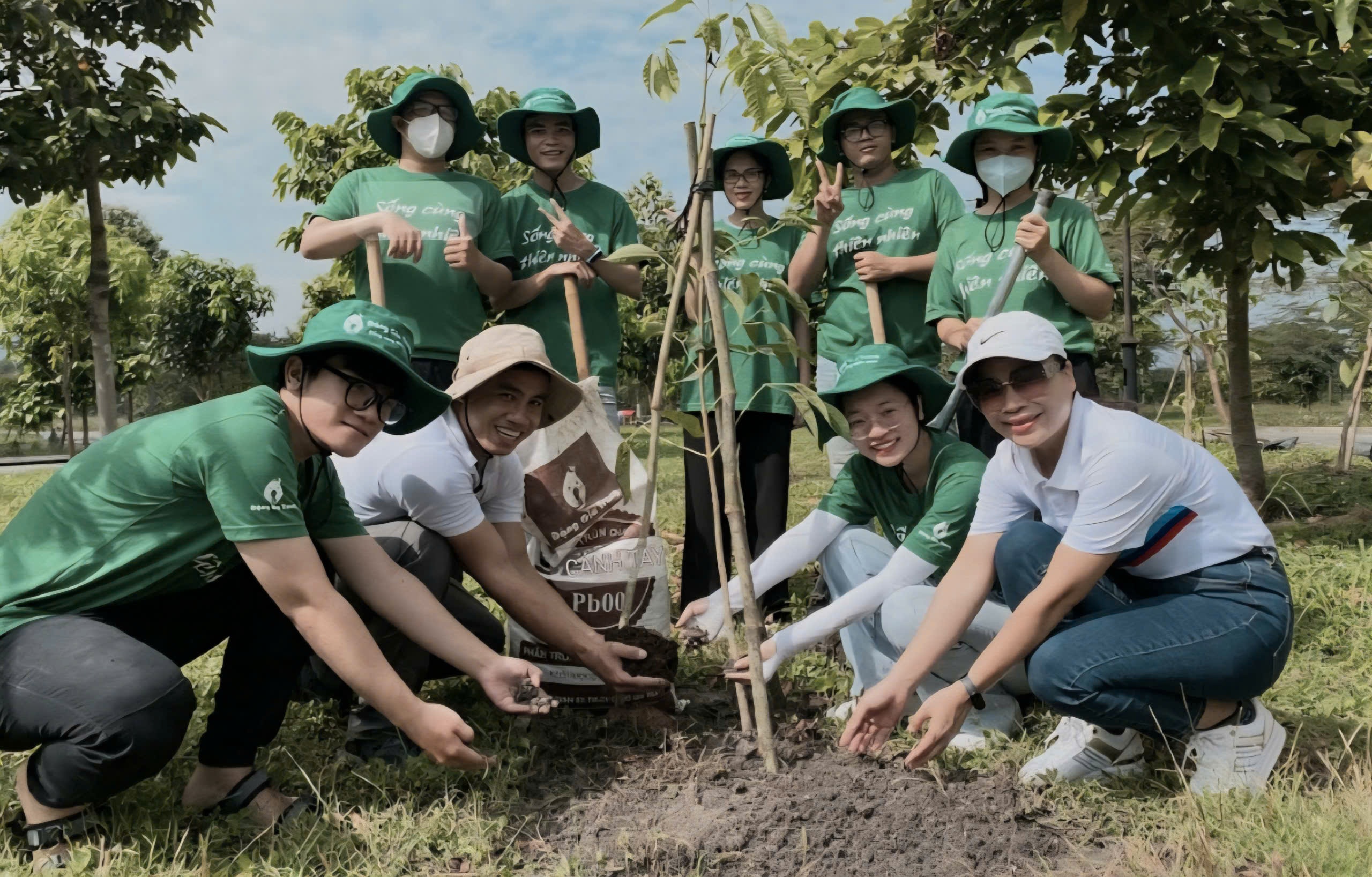 Việt Nam vẫn chưa có một dự án tín chỉ carbon từ rừng nào được triển khai quy mô lớn