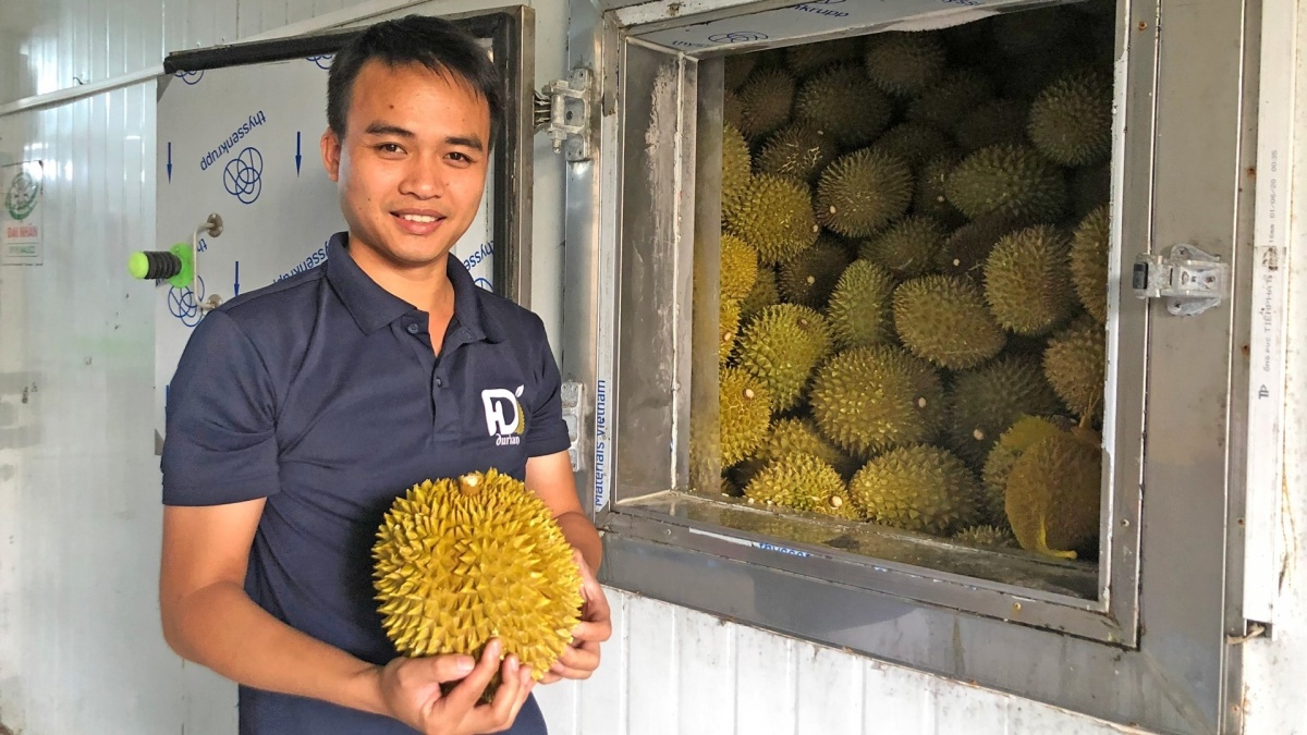 Cấp đông bằng ni-tơ lỏng - bước đột phá giúp sầu riêng Việt vươn ra thị trường cao cấp Cấp đông bằng ni-tơ lỏng - bước đột phá giúp sầu riêng Việt vươn ra thị trường cao cấp