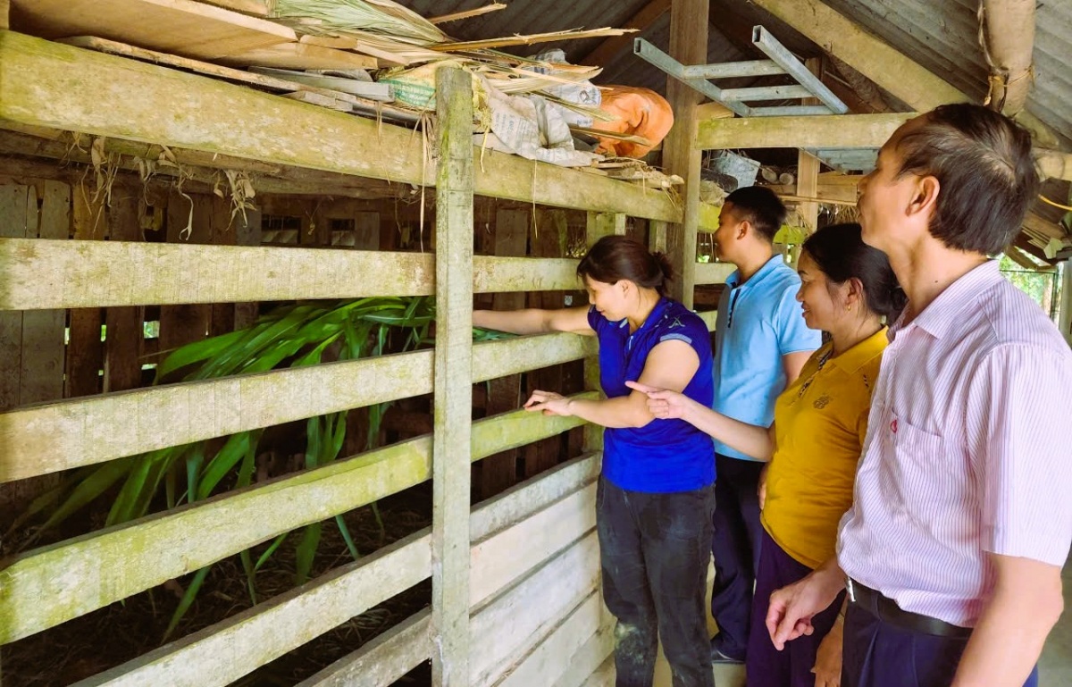 Mô hình vay vốn tín dụng ưu đãi đầu tư chăn nuôi ở xã Hương Sơn, Hà Tĩnh. Mô hình vay vốn tín dụng ưu đãi đầu tư chăn nuôi ở xã Hương Sơn, Hà Tĩnh.
