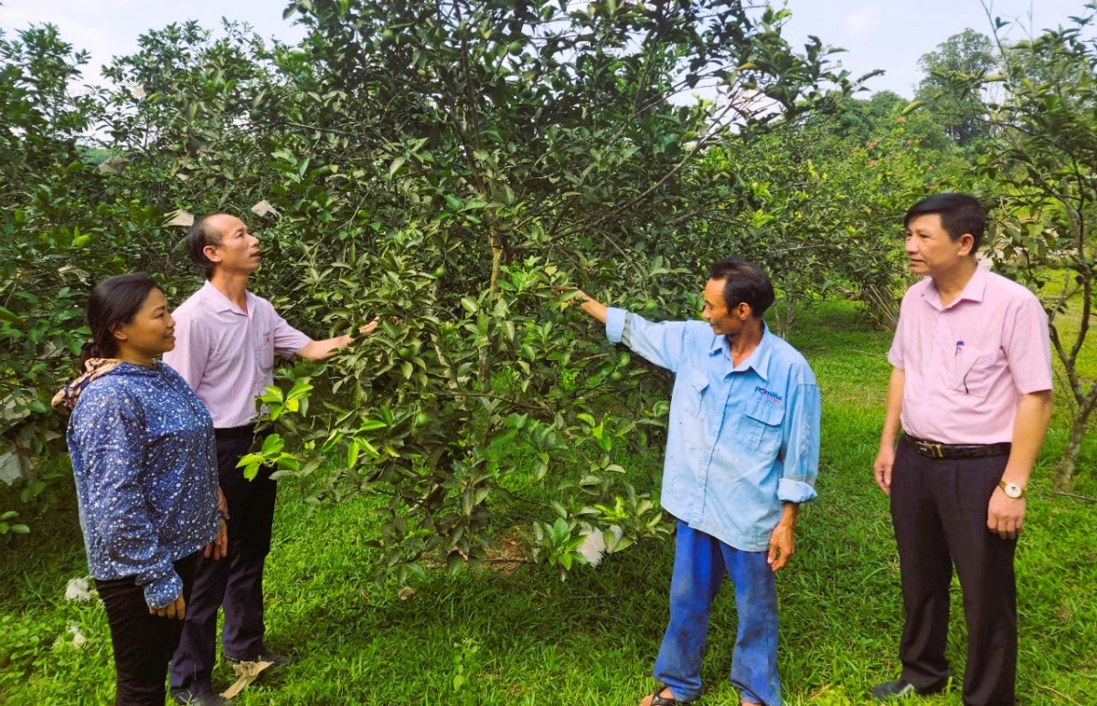 Nguồn vốn chính sách giúp nhiều hộ nghèo, cận nghèo ở Hà Tĩnh vượt qua khó khăn, khôi phục, phát triển các nghề truyền thống… Nguồn vốn chính sách giúp nhiều hộ nghèo, cận nghèo ở Hà Tĩnh vượt qua khó khăn, khôi phục, phát triển các nghề truyền thống…