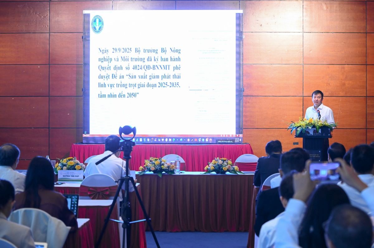 Quang cảnh hội thảo Quang cảnh hội thảo