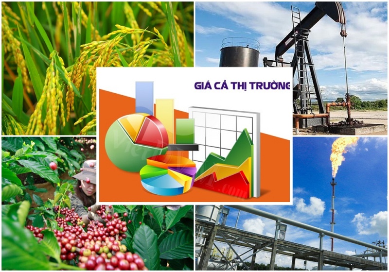 Hoàn thiện dự thảo Luật sửa đổi, bổ sung một số điều của Luật Giá, đảm bảo chất lượng, đúng tiến độ