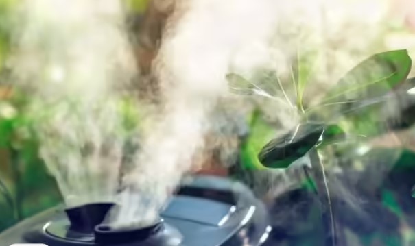 Những bài thuốc tự nhiên tại nhà giúp bạn chống lại mùa cúm Những bài thuốc tự nhiên tại nhà giúp bạn chống lại mùa cúm