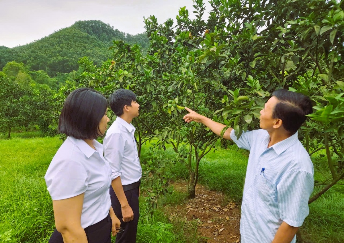 TCTD trong khu vực đang “vào guồng” đẩy nhanh tiến độ giải ngân, hỗ trợ doanh nghiệp, hộ kinh doanh và người dân tiếp cận vốn vào dịp cuối năm.