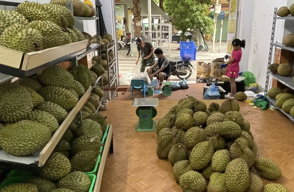 Sầu riêng đối diện cú sốc khi hệ thống xét nghiệm xuất khẩu bị ngưng trệ Sầu riêng đối diện cú sốc khi hệ thống xét nghiệm xuất khẩu bị ngưng trệ