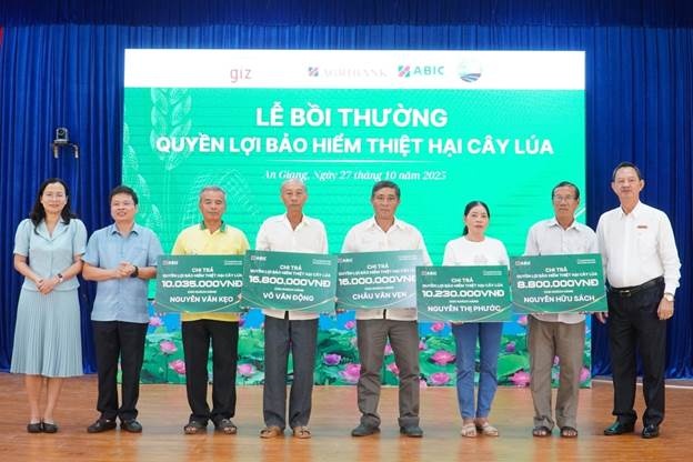 Bảo hiểm cây lúa từ ABIC giúp nông dân an tâm sản xuất Bảo hiểm cây lúa từ ABIC giúp nông dân an tâm sản xuất