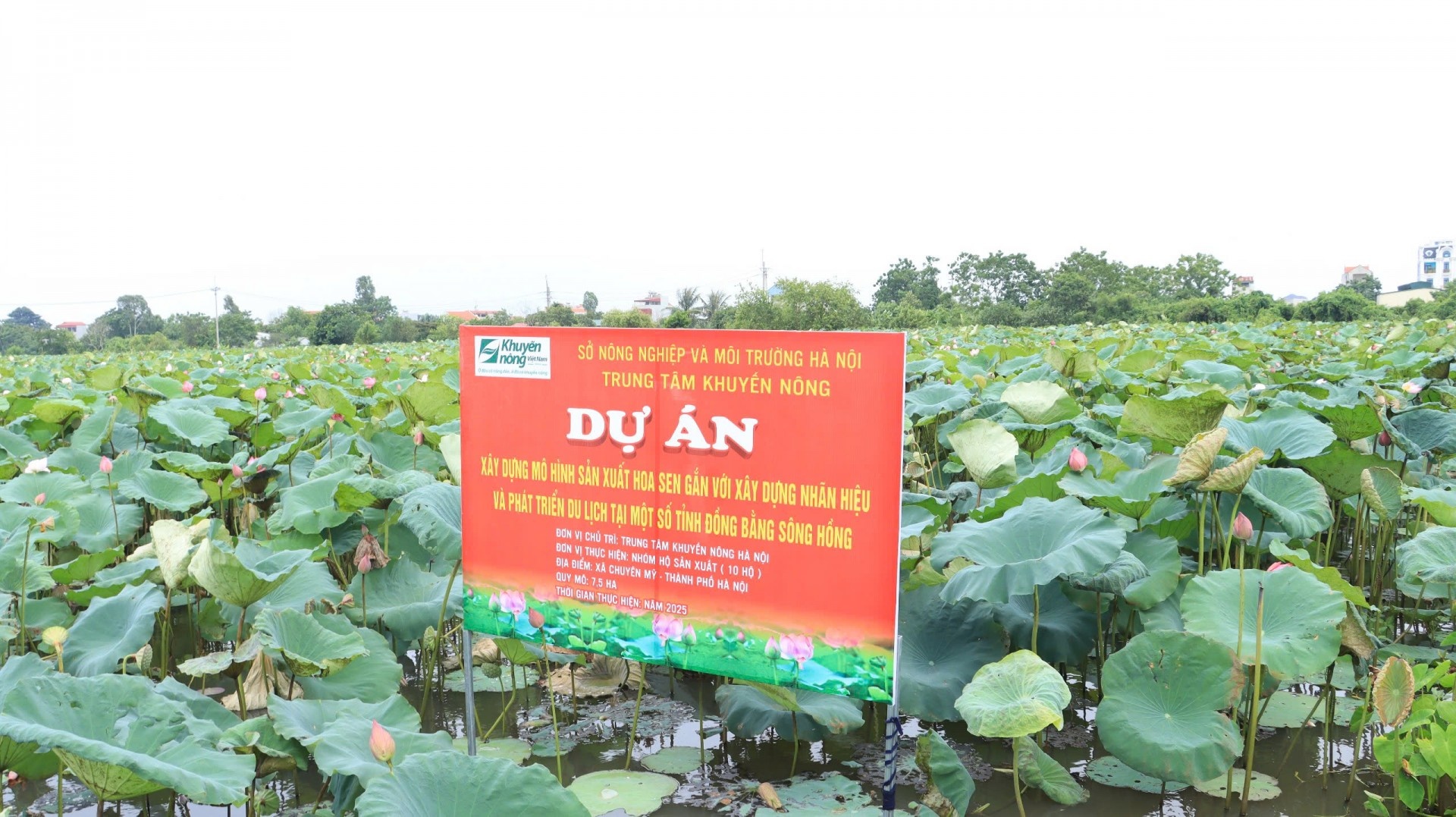 yêu cầu đẩy nhanh tiến độ giải ngân vốn đầu tư công năm 2025 trong lĩnh vực nông nghiệp và phát triển nông thôn