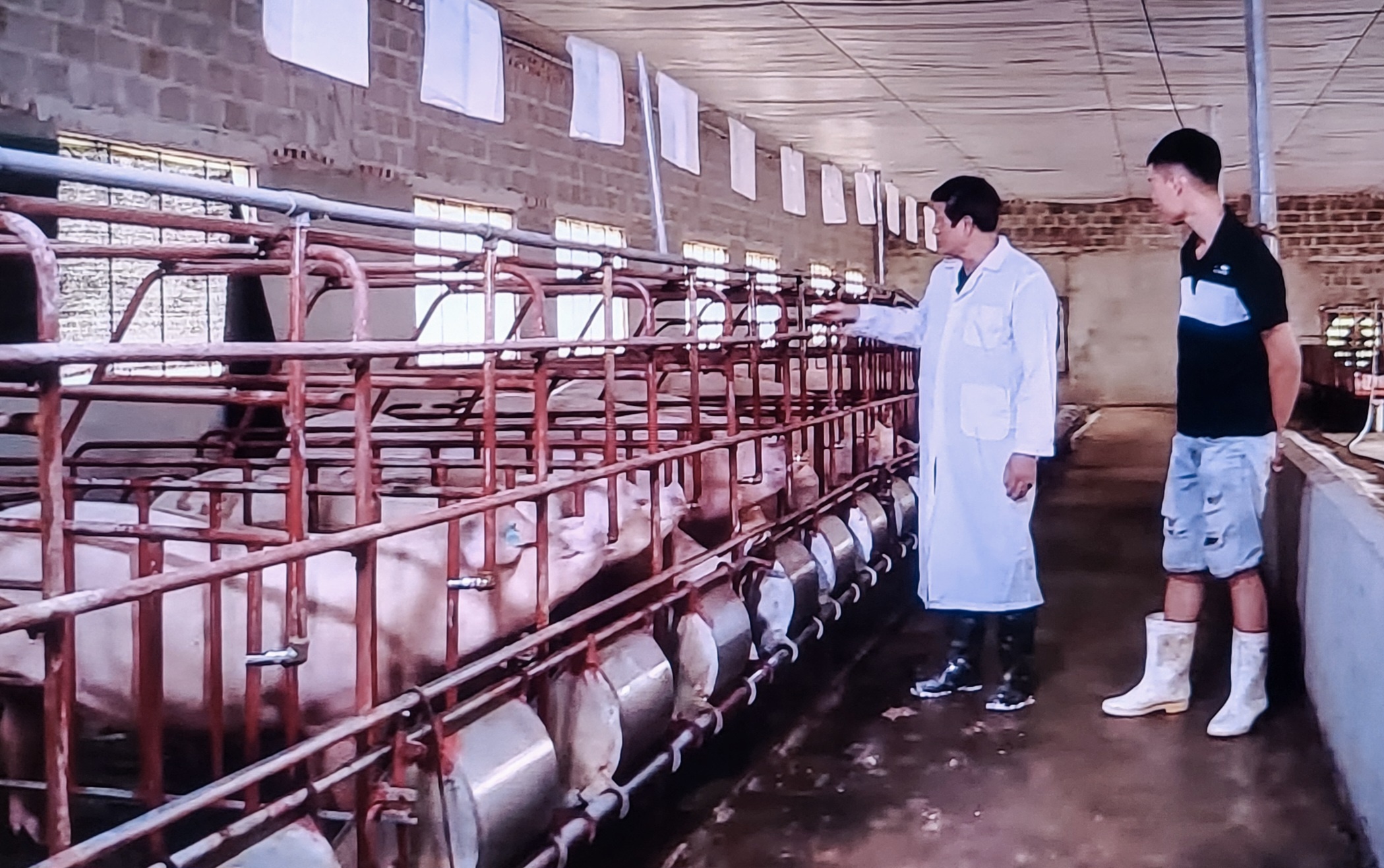 cần khuyến khích liên kết giữa nông dân và doanh nghiệp
