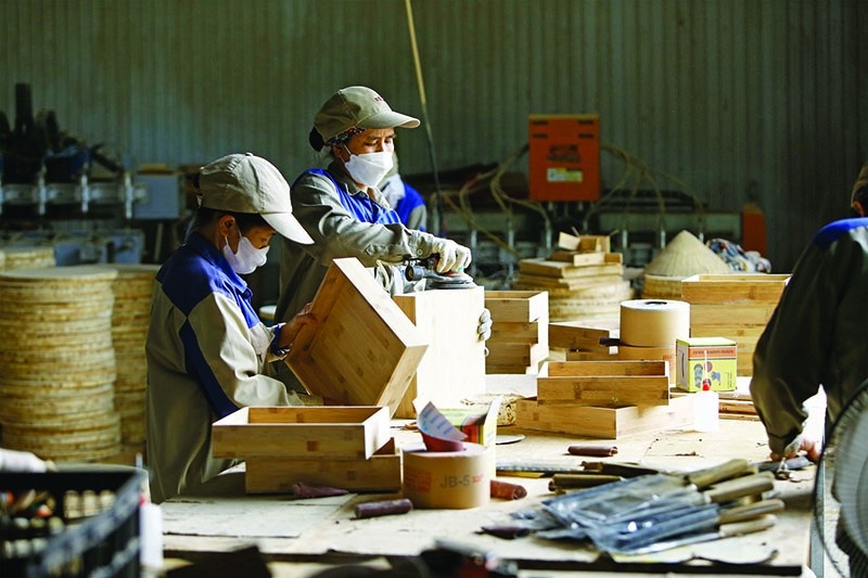 Luật Phá sản sửa đổi: Không để những “xác sống” gây hệ lụy Luật Phá sản sửa đổi: Không để những “xác sống” gây hệ lụy