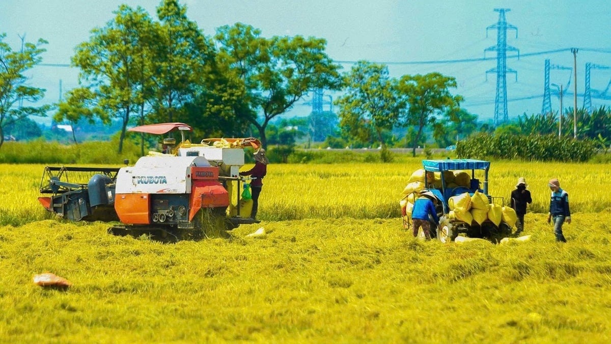 Ngành Nông nghiệp và Môi trường luôn giữ vai trò trụ đỡ của nền kinh tế