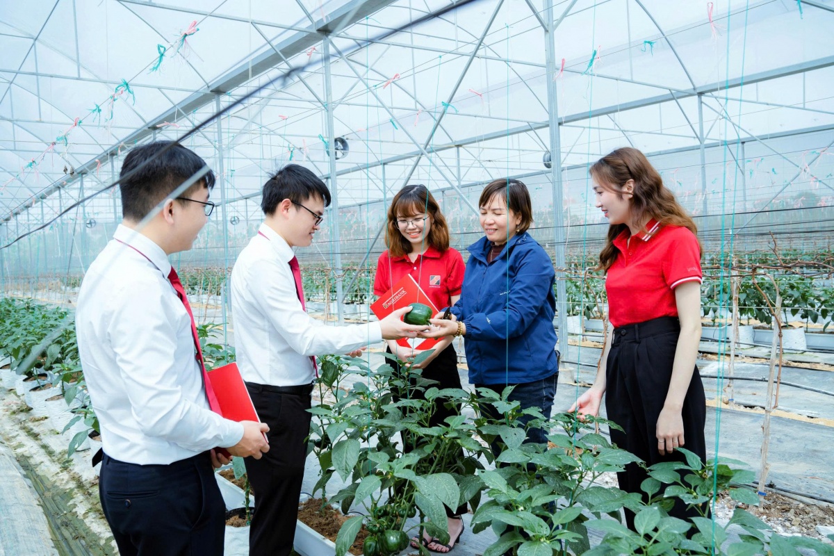 Agribank thực thi ESG toàn diện: từ vốn xanh đến an sinh cộng đồng