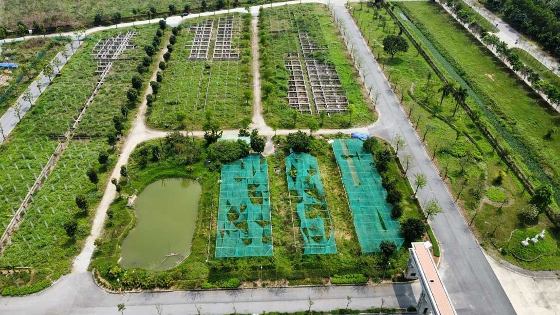 Dự án Khu đô thị mới CEO Mê Linh. Ảnh minh họa