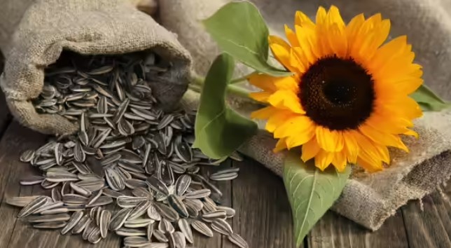 8 loại thực phẩm giàu vitamin E giúp thị lực tốt hơn và bảo vệ mắt lâu dài