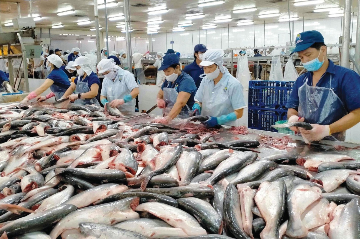 Xuất khẩu thủy sản vượt rào cản, nắm bắt cơ hội từ CPTPP Xuất khẩu thủy sản vượt rào cản, nắm bắt cơ hội từ CPTPP