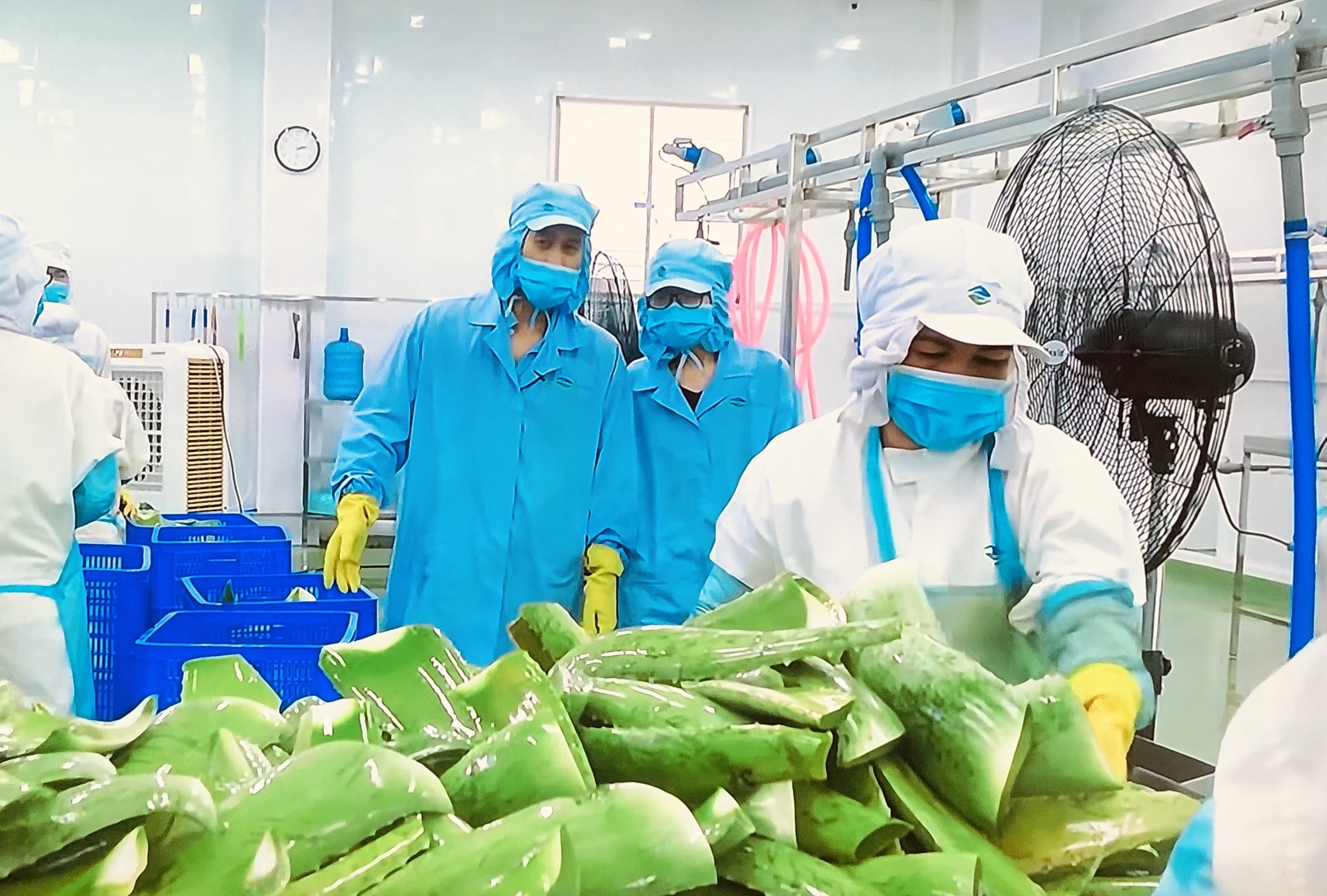 tham gia sâu hơn vào hệ thống phân phối chính ngạch