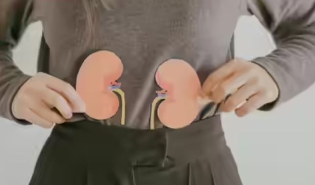 5 nguyên nhân hàng đầu gây ra protein trong nước tiểu và sỏi thận 5 nguyên nhân hàng đầu gây ra protein trong nước tiểu và sỏi thận