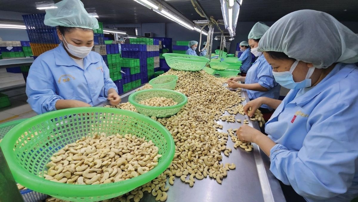 Thương mại toàn cầu ngày càng yêu cầu minh bạch, bền vững và truy xuất nguồn gốc Thương mại toàn cầu ngày càng yêu cầu minh bạch, bền vững và truy xuất nguồn gốc