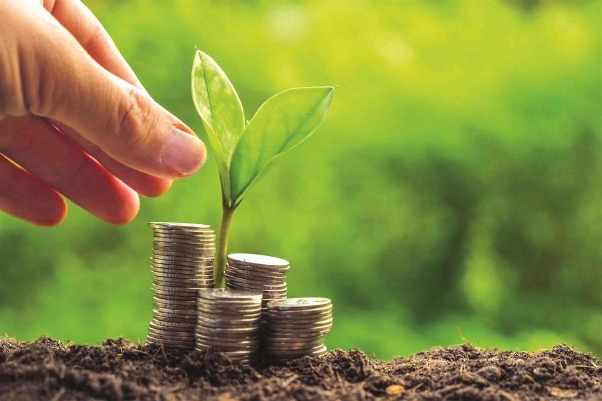 Hỗ trợ lãi suất 2% mở đường cho doanh nghiệp chuyển đổi ESG Hỗ trợ lãi suất 2% mở đường cho doanh nghiệp chuyển đổi ESG