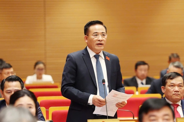 Đại biểu HĐND TP Vũ Mạnh Hải - Chủ tịch Hội nghệ nhân thợ giỏi TP đề nghị thành phố ưu tiên quy hoạch đất đai, cụm công nghiệp, giao thông để tạo điều kiện cho sản xuất, đào tạo nghề và phát triển du lịch