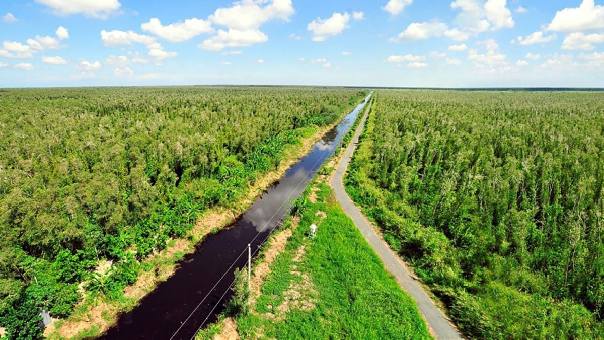 Thị trường carbon được xem là công cụ tài chính – chính sách quan trọng cho mục tiêu phát thải ròng bằng không