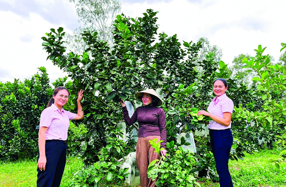 Sự đồng hành của hội, đoàn thể giúp nâng cao chất lượng tín dụng chính sách ở Gia Lai Sự đồng hành của hội, đoàn thể giúp nâng cao chất lượng tín dụng chính sách ở Gia Lai