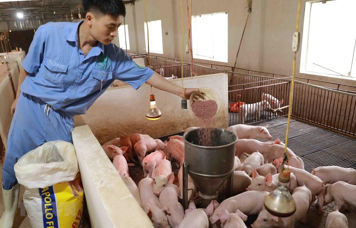 Thêm cơ chế khuyến khích các doanh nghiệp trong lĩnh vực nông nghiệp, góp phần thúc đẩy phát triển kinh tế